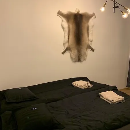 Polar Point Of View Rovaniemi