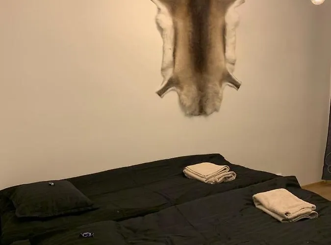 Polar Point Of View Rovaniemi